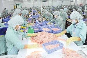 VNH: sau lãi lớn là giải thể?